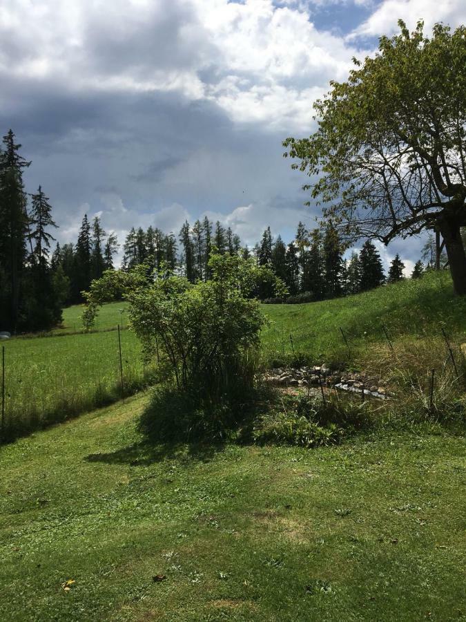 Vila Haus Katrin Sankt Marein bei Knittelfeld Exteriér fotografie